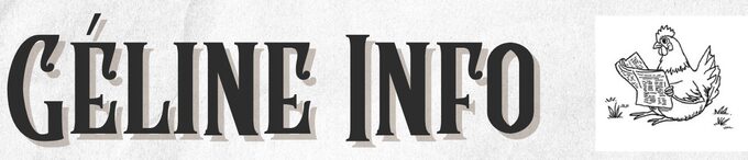 Bannière journal du collège.jpg